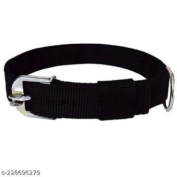 Nylon Coller Neck Belt for Dog (Multicolor, 1 inches)