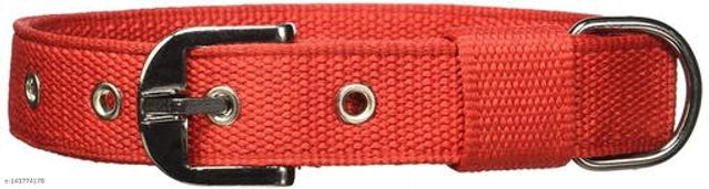 Neck Collar 0.5 mm Belt for Pet (Multicolor, M)Neck Collar 0.5 mm Belt for Pet Multicolor (Size M) | Adjustable & Lightweight Pet Collar | Comfortable Dog and Cat Neck Belt