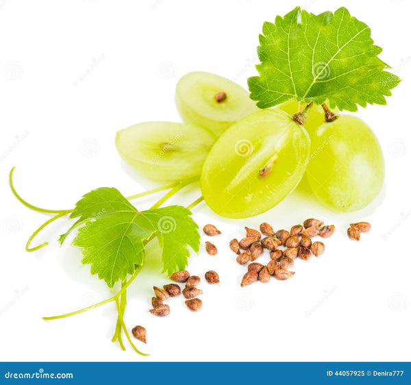 Grape Seeds Our Seeds are rich in antioxidants ( 20 pcs )Grape Seeds (20 pcs) – Antioxidant-Rich Fruit Plant Seeds for Home Gardening & Vineyard Growing