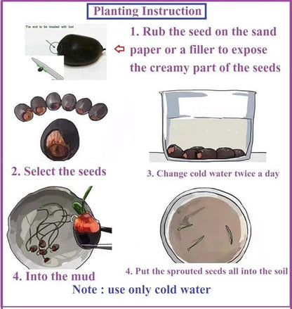 5235