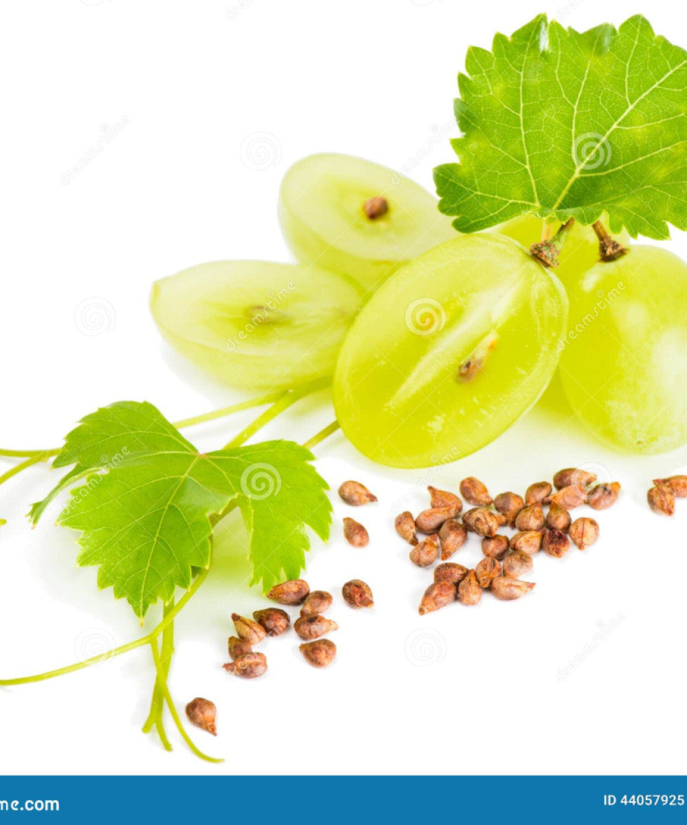 8904