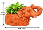 Decorative Elephant Planter – Handcrafted Traditional Elephant Plant Pot