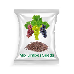 Vegetable Seeds (Mix Grapes Seeds) Tested and Packed for Home, Terrace and Kitchen Gardening