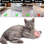 Cat Toy Ball Intelligent Funny Cat Ball 360 Degree (Pack of - 1)Perfect for indoor cats, kittens, and small pets, it encourages exercise and reduces boredom with unpredictable movement and hands-free fun.