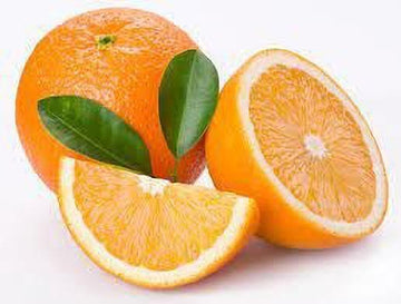 Seeds Hybrid Sweet Orange Plant
