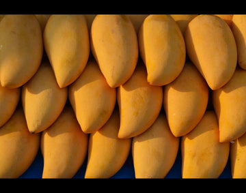 Seeds Mango Japanese Variety