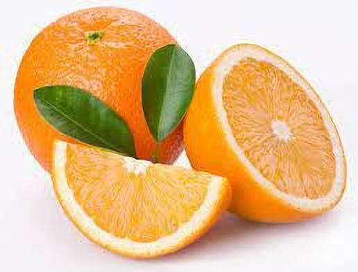 Seeds Hybrid Sweet Orange Plant.Hybrid Sweet Orange Plant – High Yield Citrus Fruit Tree for Home Garden & Terrace Growing