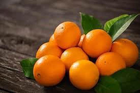 Seeds Hybrid Sweet Orange Plant.Hybrid Sweet Orange Plant – High Yield Citrus Fruit Tree for Home Garden & Terrace Growing