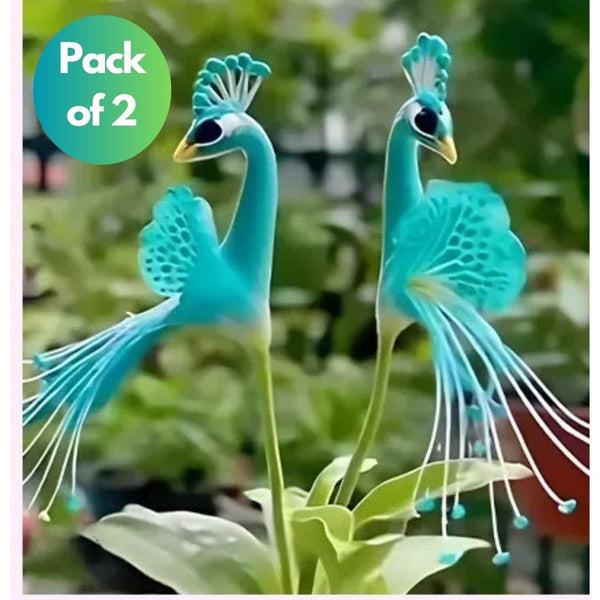 Vibrant Peacock Flower Seeds Pack of 2.Vibrant Peacock Flower Seeds (Pack of 2) – Colorful Ornamental Blooming Seeds for Home Garden & Landscaping