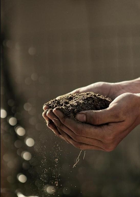 Organic Vermicompost 400gm.Organic Vermicompost 400gm – Natural Plant Fertilizer for Healthy Growth