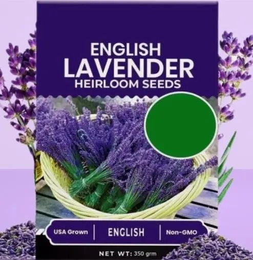 Lavender Seeds for Planting home.Lavender Seeds for Home Planting – Fragrant Purple Flowers for Garden, Pots & Balcony