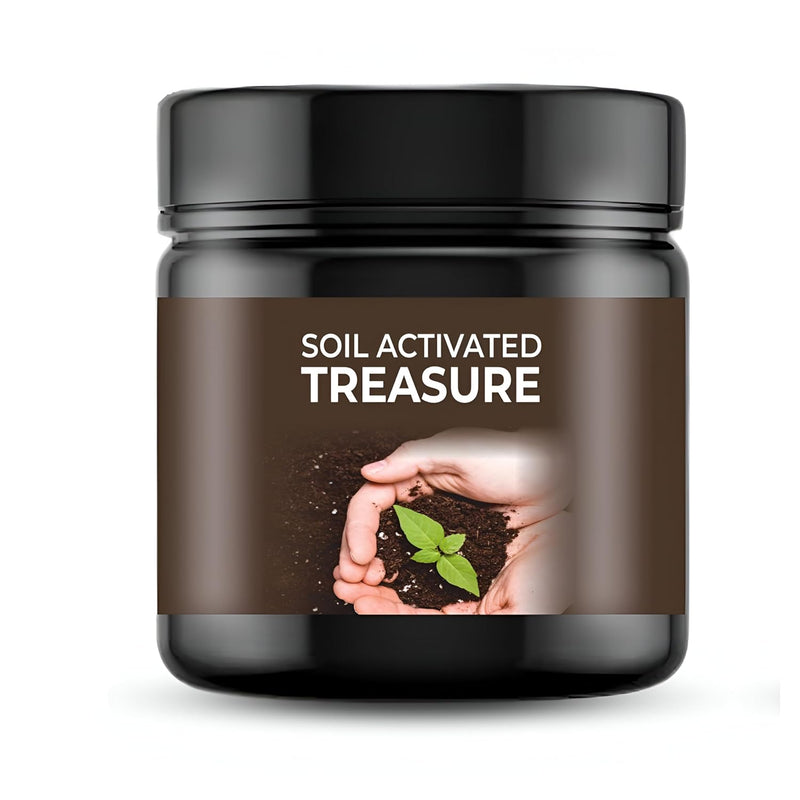 Soil Active Treasure Fertilizer | Potting Mix Soil for Plants ( Pack Of 2 )
