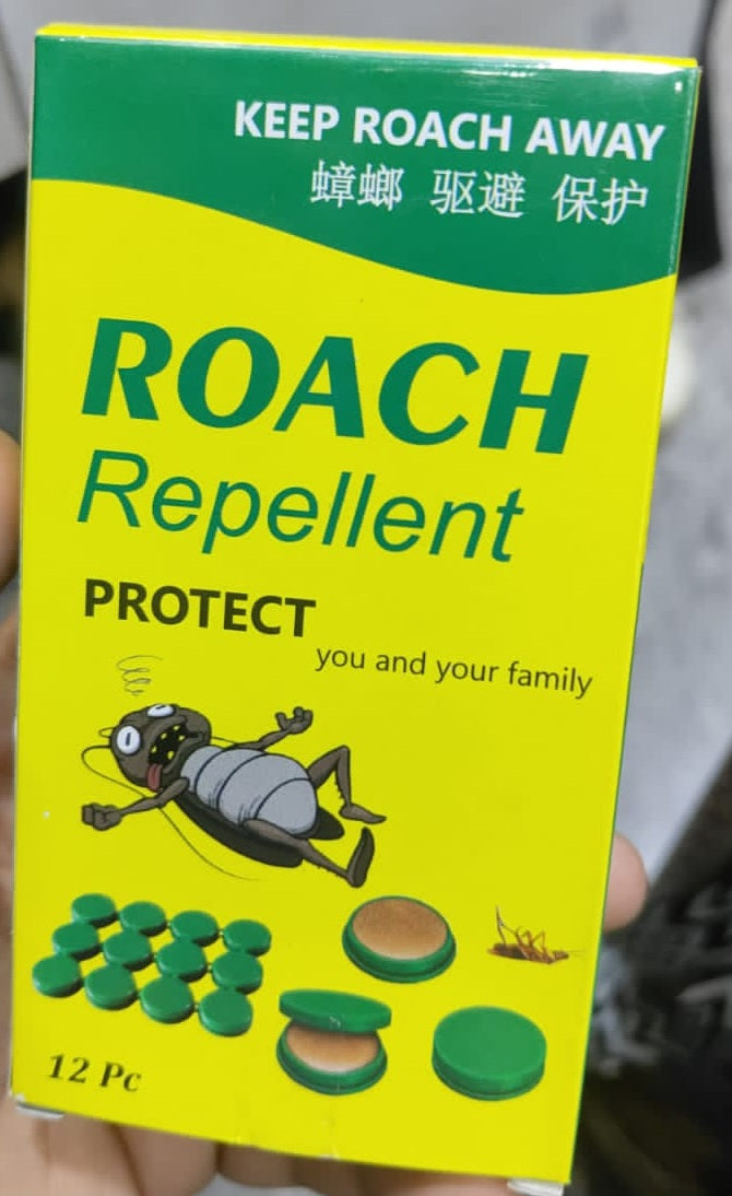 8033