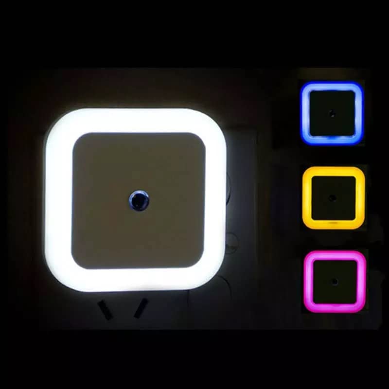 9058