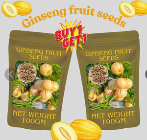 1. Ginseng fruit seeds