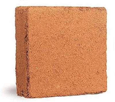 .Buffered Coco Coir Brick 100g (Pack of 3) – Premium Cocopeat Growing Medium for Seed Starting & Potting Mix