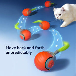 1.  Automatic Rolling Ball Toy for Cats