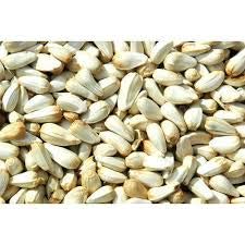 1. IMPORTED SEEDS MULTI-COLOR BUTTERFLY SEED