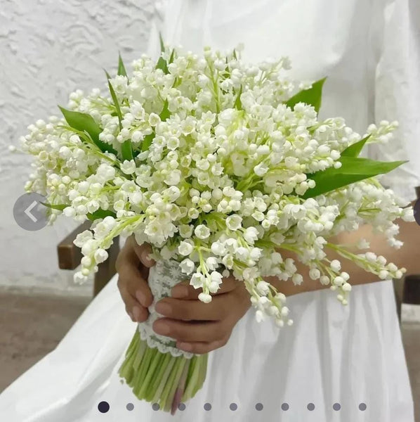Lily of the valley flowers Seeds