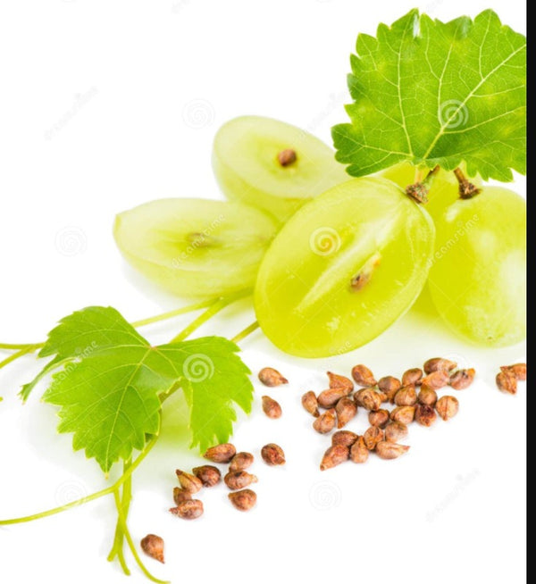Grape Seeds Our Seeds are rich in antioxidants