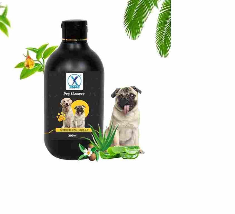 Anti-Itch Dog Shampoo Ditch to Itch (Pack of 1)