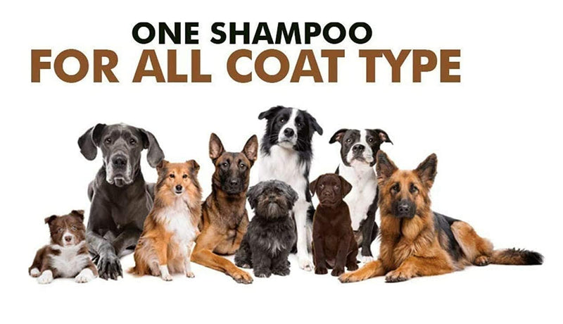 Anti-Itch Dog Shampoo Ditch to Itch (Pack of 2)