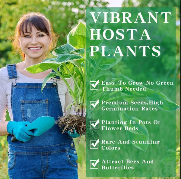 Mixed Hosta Seeds for Planting Outdoors