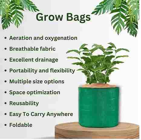Organic Mix Varieties 100 Pieces Seeds With 5 Pieces Grow Bag.Organic Mix Variety Seeds Kit (100 Seeds) with 5 Grow Bags – Complete Home Gardening Starter Set