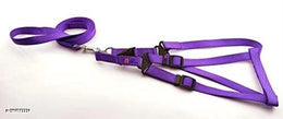 Fabric Harness with 5 Feet Leash for Dog (Multicolor, 1 inches) (Set of 1)