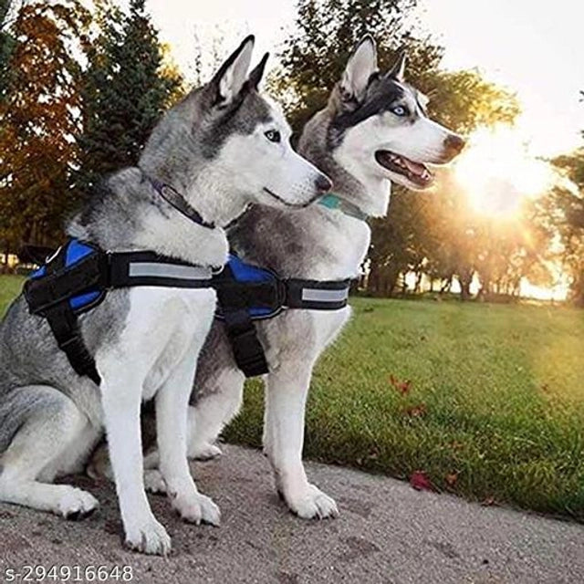 Nylon Body Harness for Dog (Black & Blue, L)Nylon Body Harness For Dog (Black & Blue, L) | Adjustable Heavy Duty Pet Chest Harness