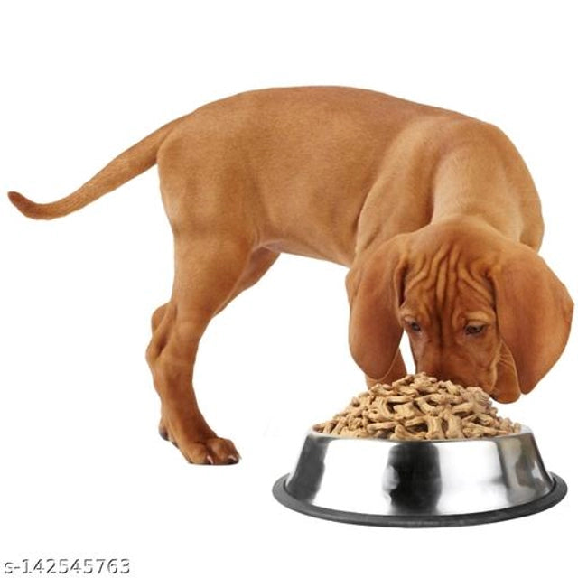 Stainless Steel Feeding Bowl for Pet (Multicolor, 1200 ml)