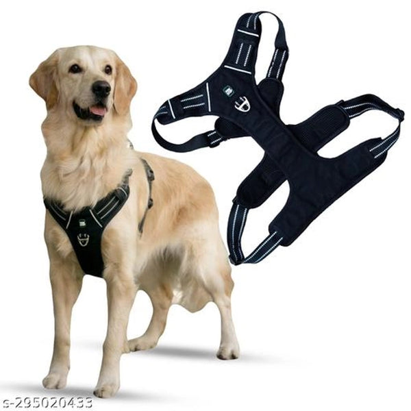 Nylon Dog Harness (Multicolor)Nylon Dog Harness Multicolor | Adjustable & Comfortable Pet Body Harness | Strong Walking Harness for Dogs