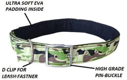 Neck Coller 0.5 inches Belt for Pet (Multicolor)