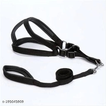 Fabric Harness with 5 Feet Leash for Dog (Multicolor, 0.5 inches) (Set of 1)