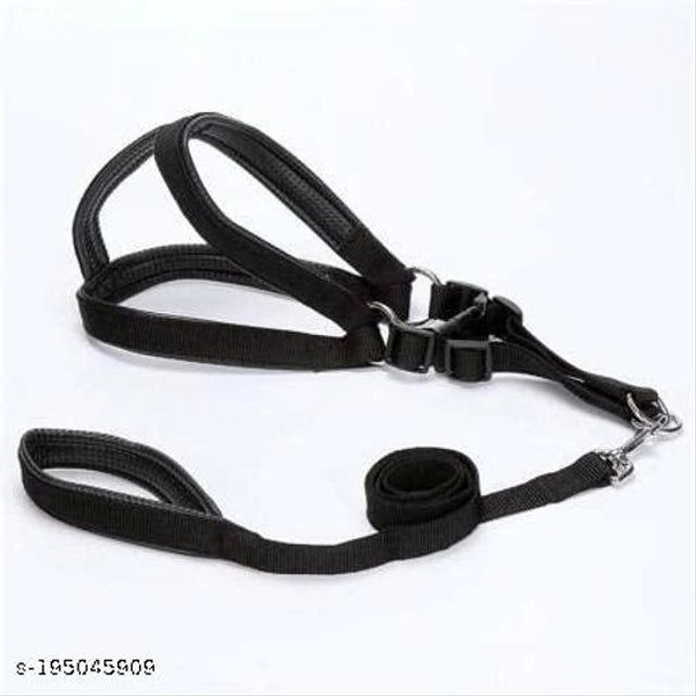 Fabric Harness with 5 Feet Leash for Dog (Multicolor, 0.5 inches) (Set of 1)