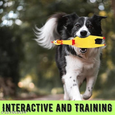 Squeaky Toy for Pet (Multicolor)