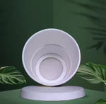 Magic Disposable Spit Cup for Home/Office/Patients/Car (Solidifies Liquid Pack of 10).Liquid Solidifying Travel & Patient Care Cups