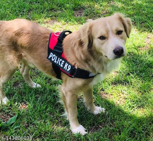 Nylon Dog Harness (Multicolor, 1 inches).Nylon Dog Harness 1 Inch (Multicolor) | Adjustable Heavy Duty Pet Body Harness
