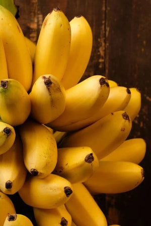 1. IMPORTED SEEDS MINI BANANA MAGICA