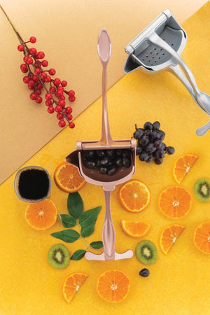 1. Manual Fruit Juicer Heavy Duty Aluminium Compact