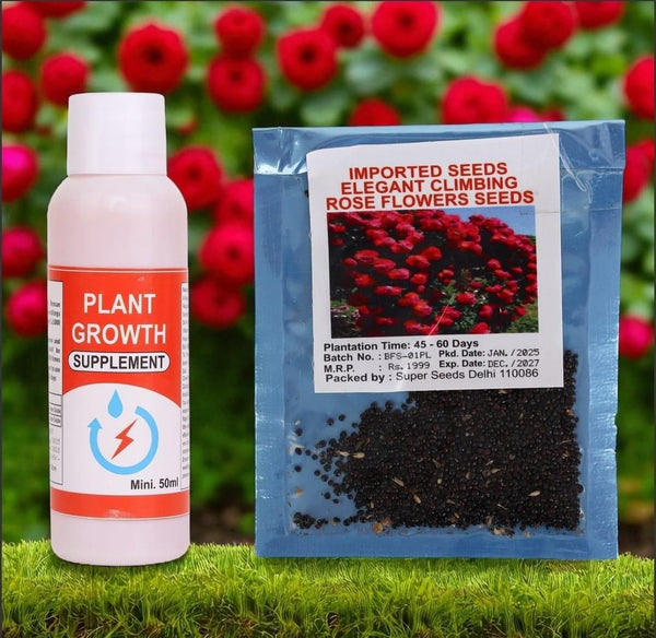Elegant Climbing Rose Flower Seeds With Plant Growth Suplement