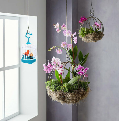 Talking Bird Toy for Kids