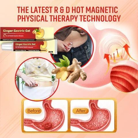 Ginger Gastric Gel For all Painful Gastric Ailments ( Pack Of 2 )