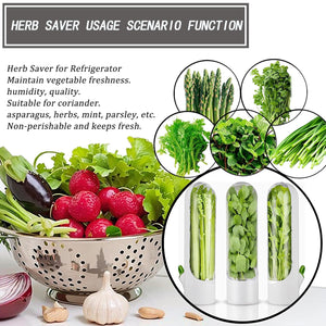 1. Herb Saver, Herb Keeper for Refrigerator, Cilantro Container for Refrigerator