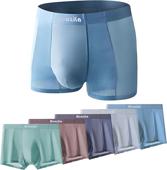 Ice Silk Mesh Mens Underwear - Seamless Trunks for Men - Breathable Boxer Briefs  5-Pack