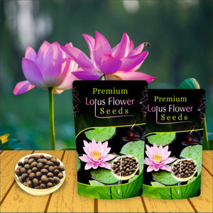 1. Lotus Flower Seeds For Home Garden Planting