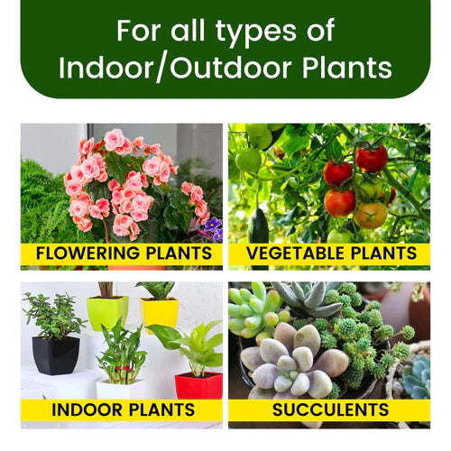 Magic Plant Food Sticks For All Indoor & Outdoor Plant (  25 Sticks  )
