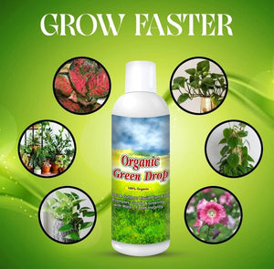 1. Organic GreenDrop Plant Food Liquid Fertilizer For Plant Growth & Greening Pack of 2