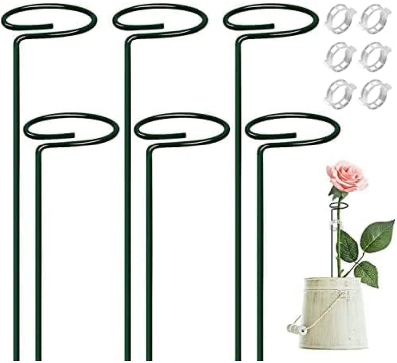 Plant Support Stakes for Potted Plant Indoor 6 PIECES