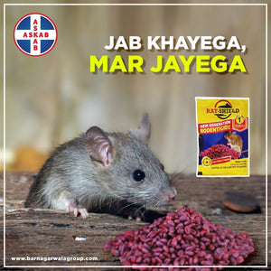 1. Rat Killer Granules